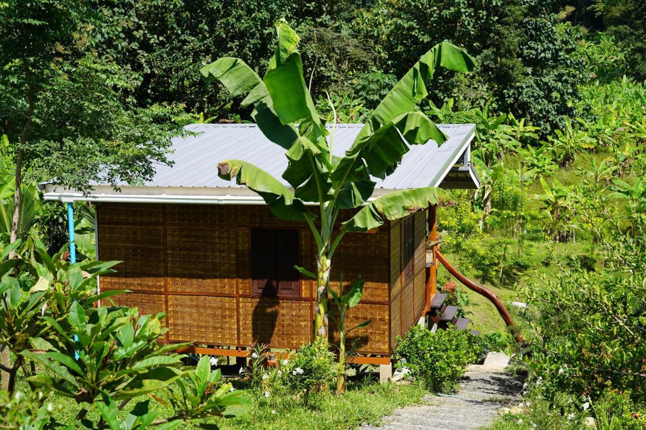 True Nature Chiang Mai - Yoga & Meditation Homestay Retreat Esterno foto