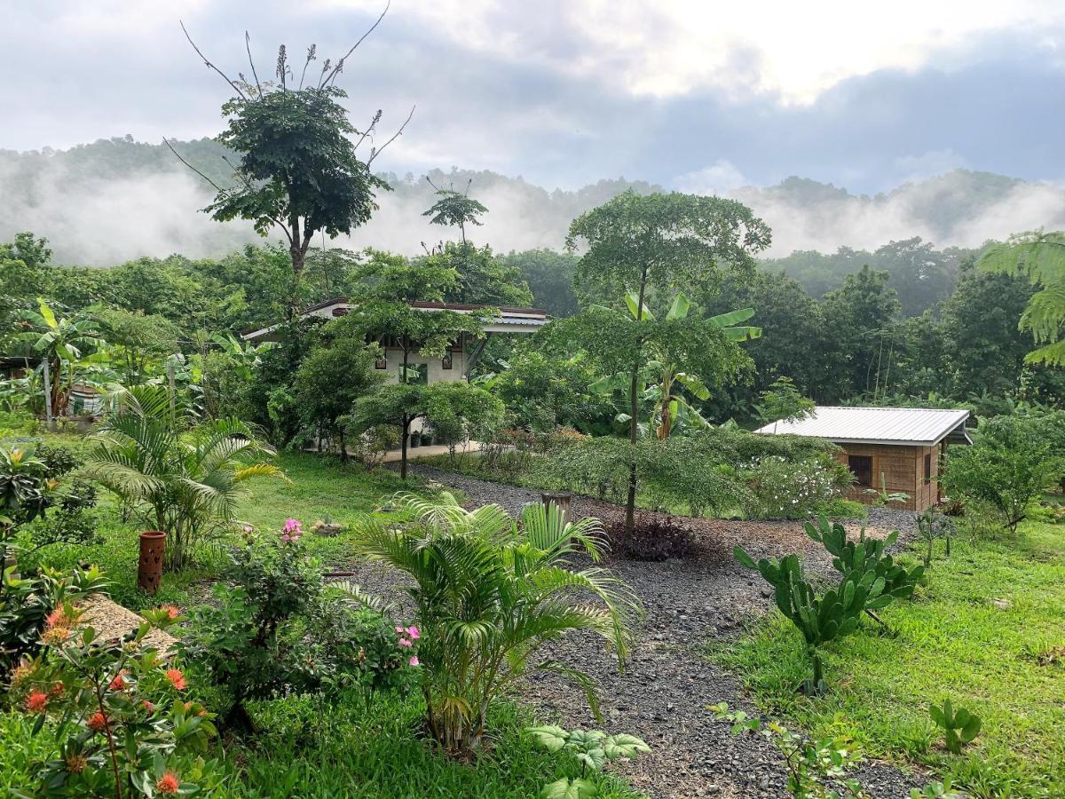 True Nature Chiang Mai - Yoga & Meditation Homestay Retreat Esterno foto