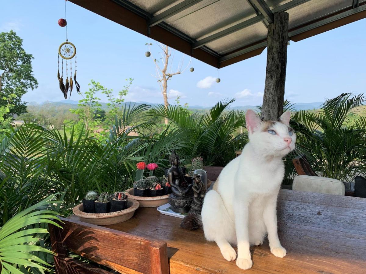 True Nature Chiang Mai - Yoga & Meditation Homestay Retreat Esterno foto