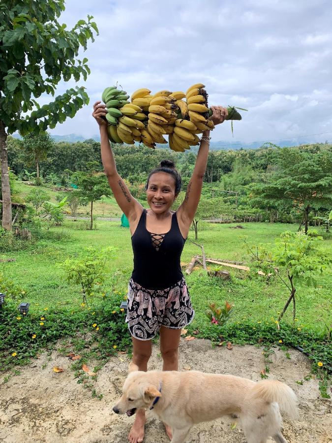 True Nature Chiang Mai - Yoga & Meditation Homestay Retreat Esterno foto