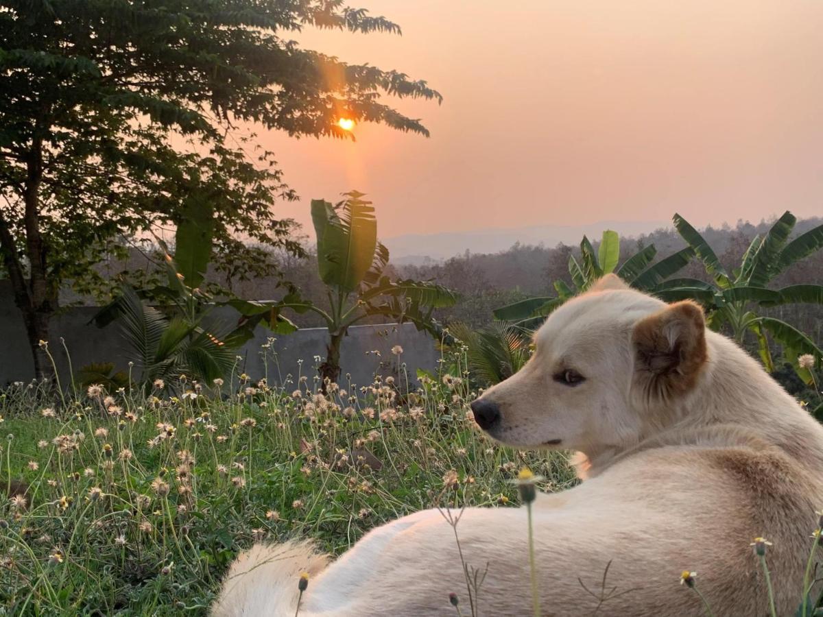 True Nature Chiang Mai - Yoga & Meditation Homestay Retreat Esterno foto