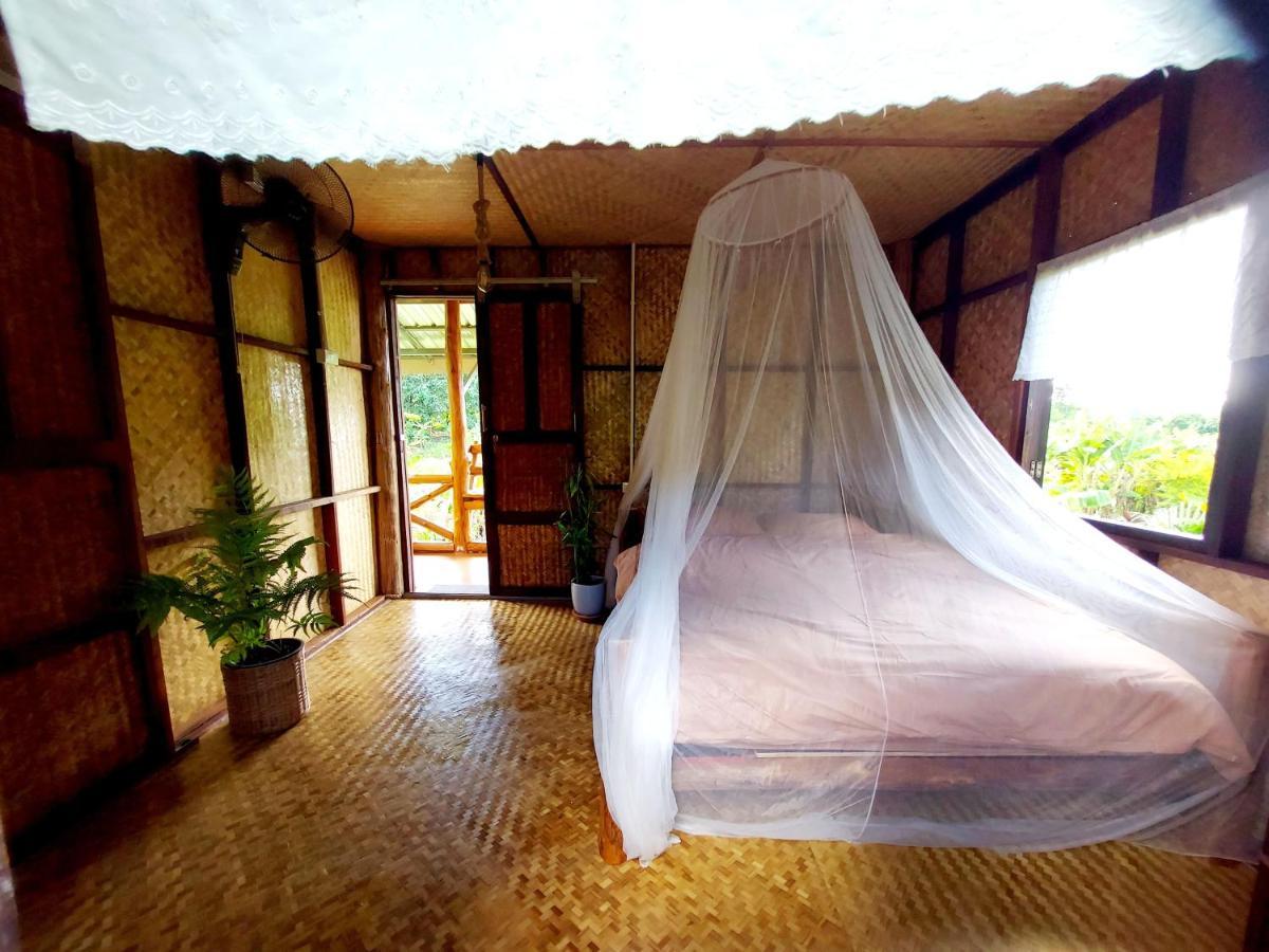 True Nature Chiang Mai - Yoga & Meditation Homestay Retreat Esterno foto